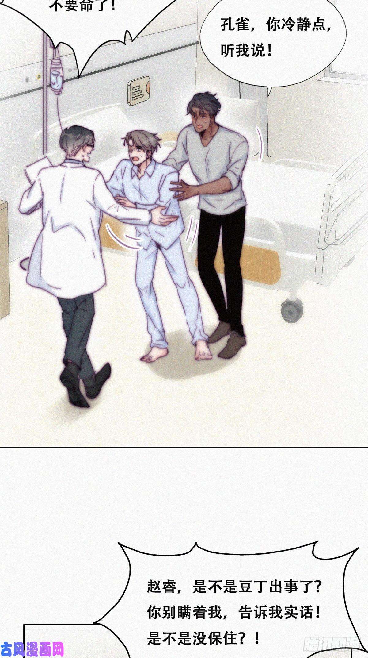 逆袭之好孕人生第143话 强壮的豆丁