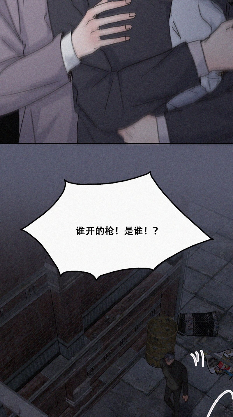 逆袭之好孕人生第155话 枪响了