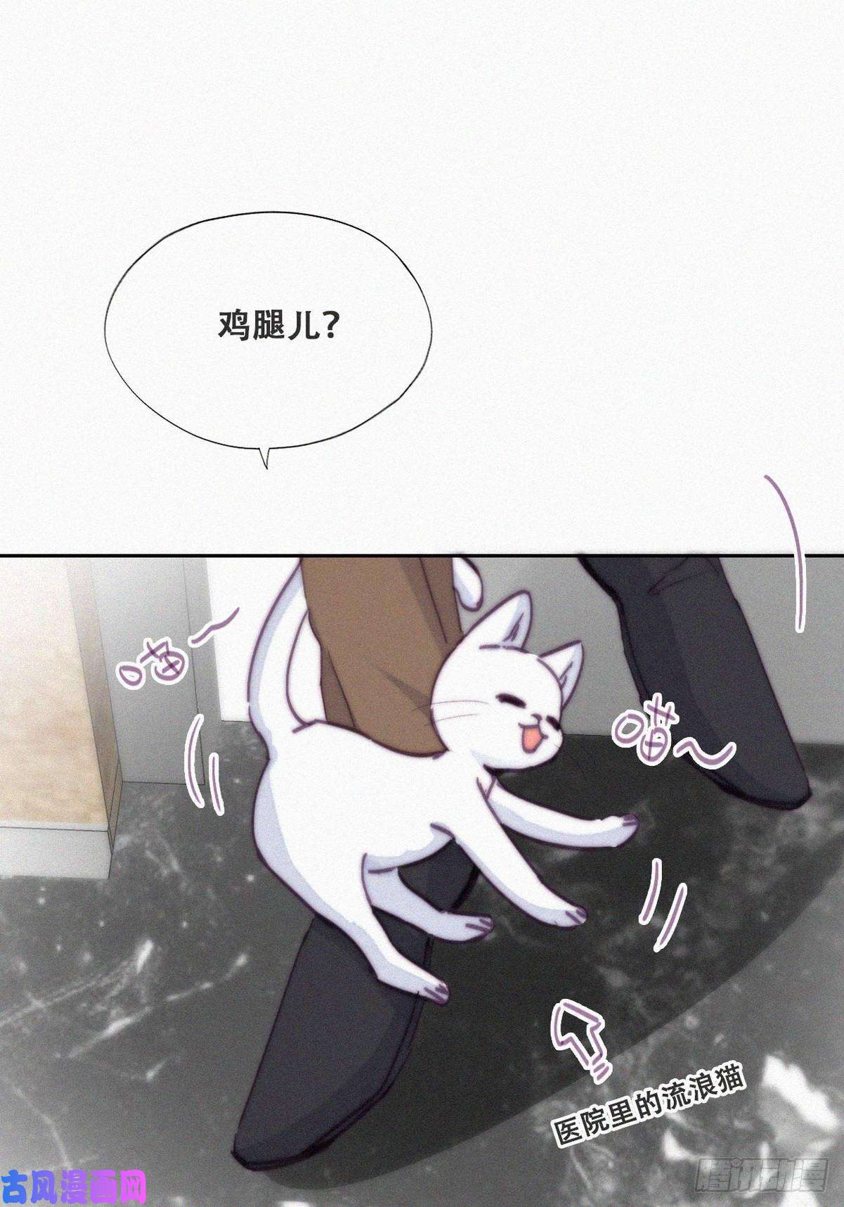 逆袭之好孕人生第156话 偷偷摸摸的黑炭