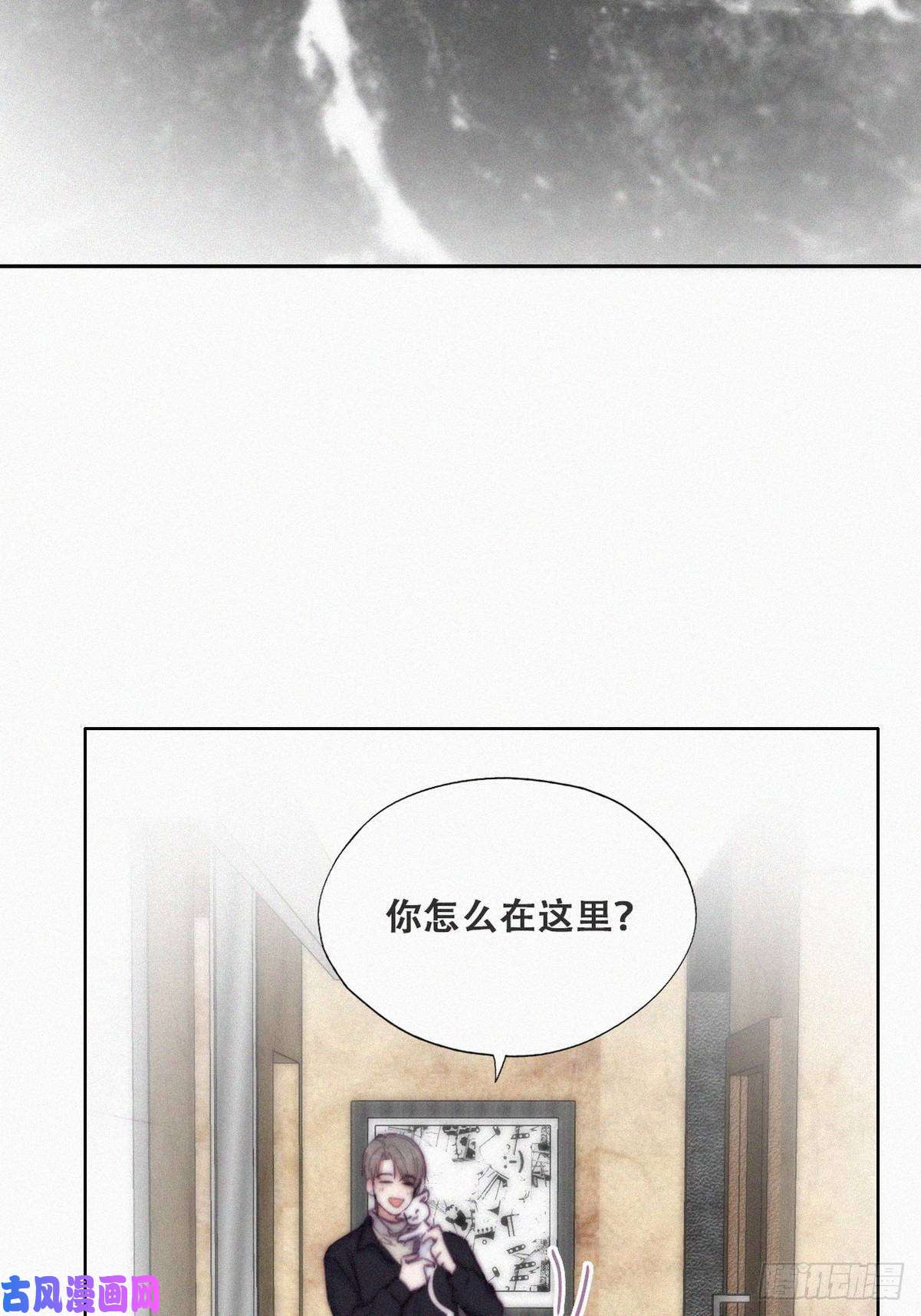 逆袭之好孕人生第156话 偷偷摸摸的黑炭