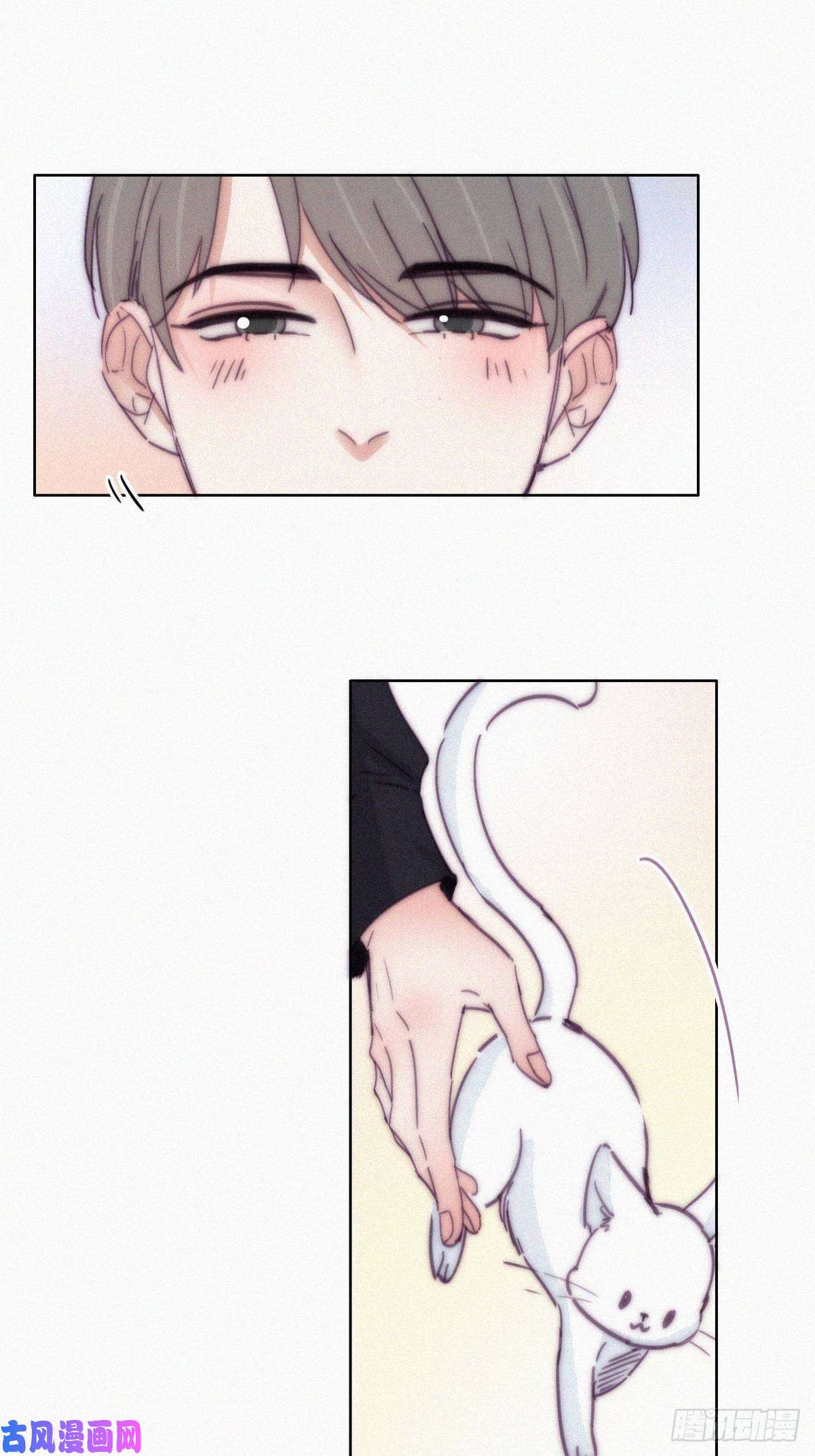 逆袭之好孕人生第156话 偷偷摸摸的黑炭
