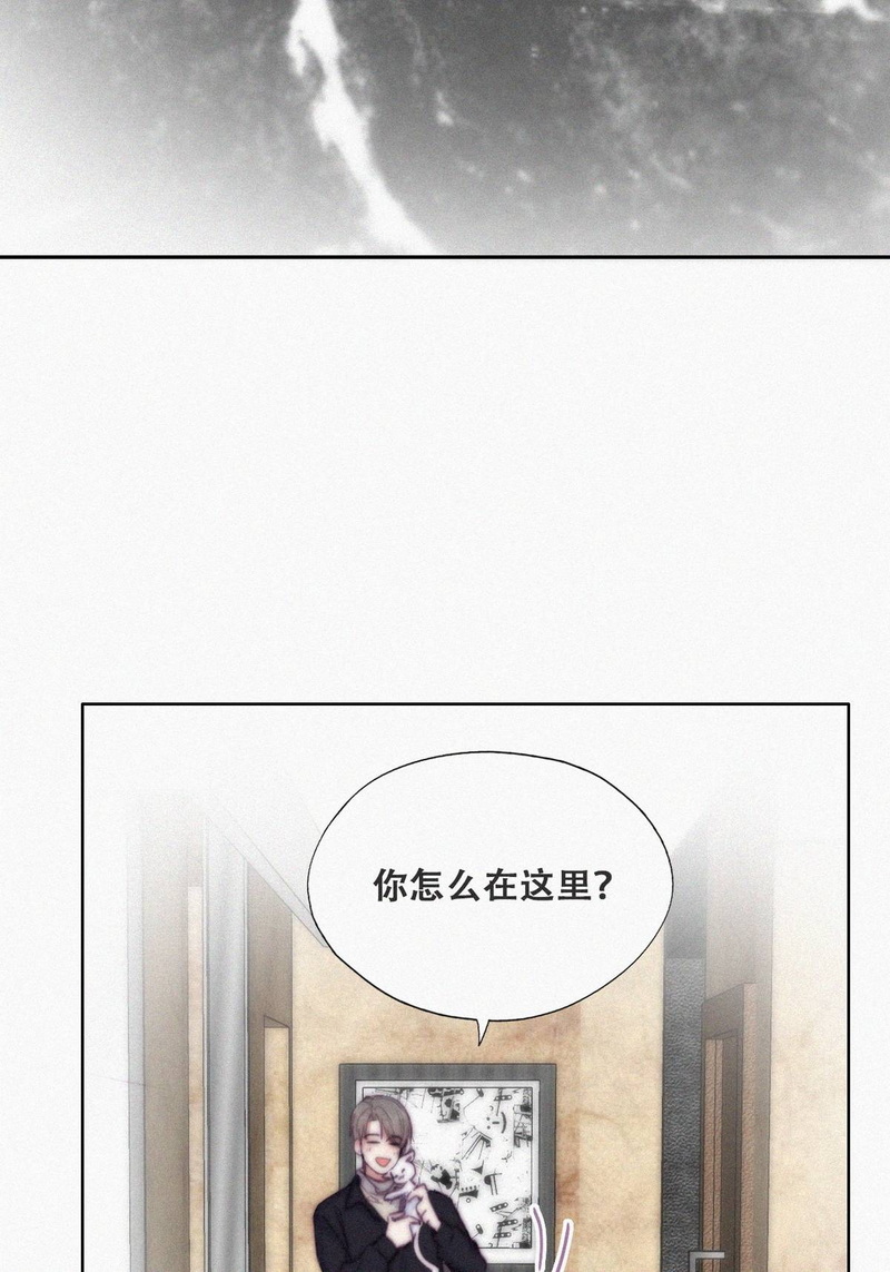 逆袭之好孕人生第159话 偷偷摸摸的黑炭