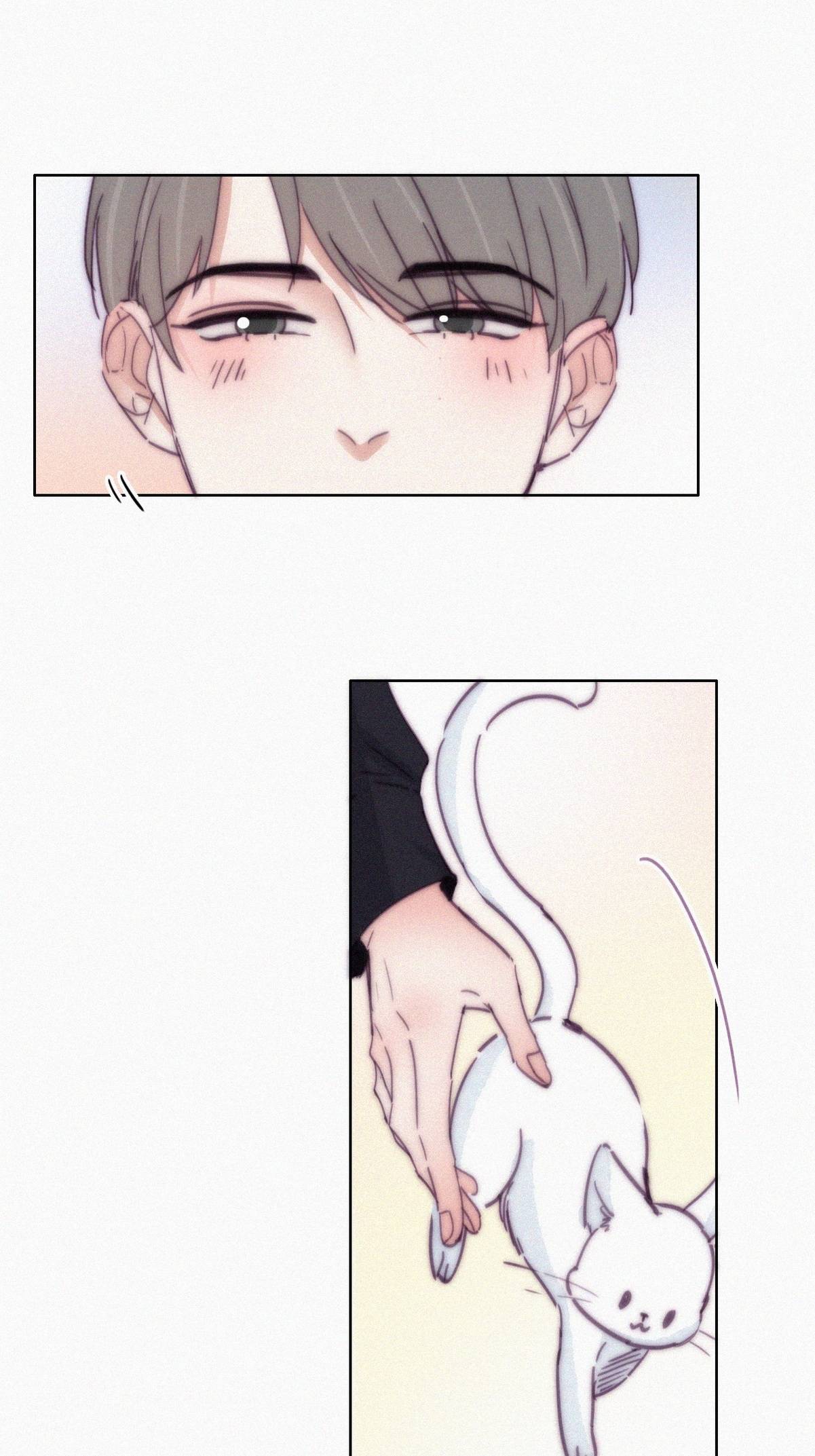 逆袭之好孕人生159 偷偷摸摸的黑炭