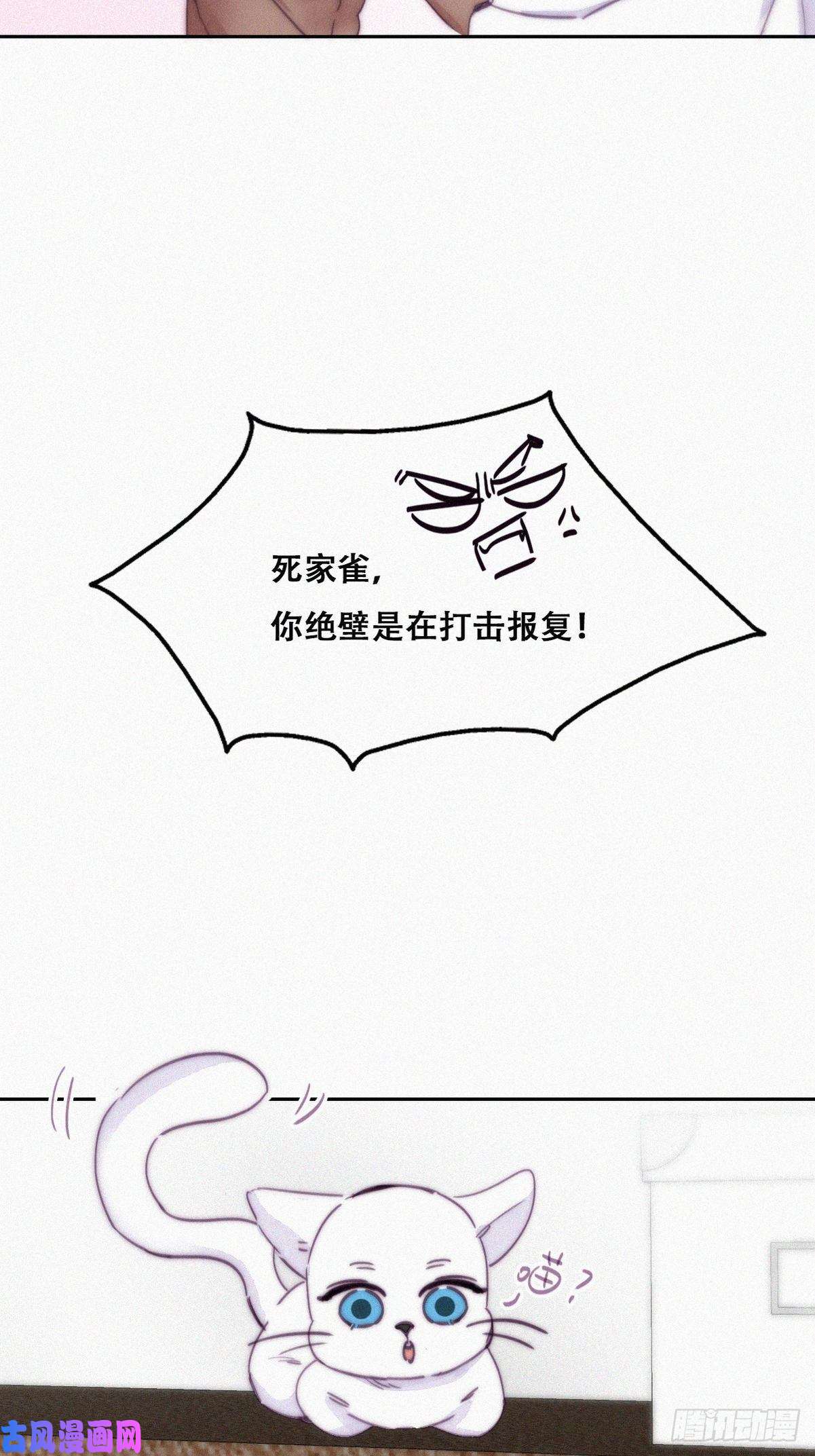 逆袭之好孕人生第158话 安全的一次