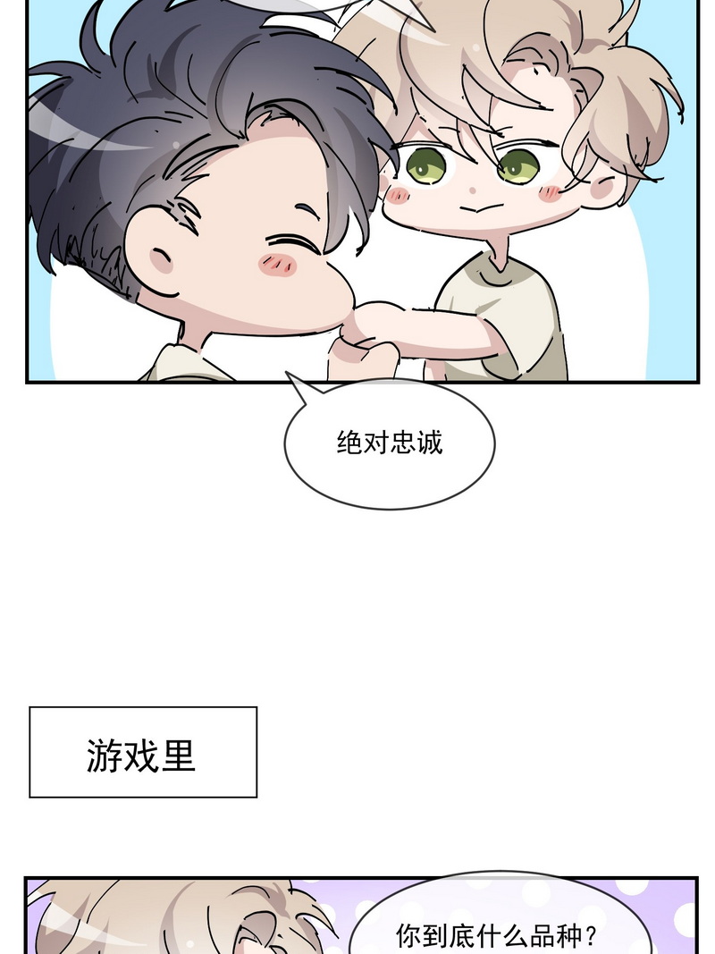 逆袭之好孕人生第163话 抓叛徒