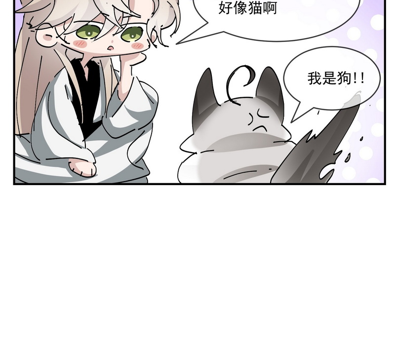 逆袭之好孕人生第163话 抓叛徒