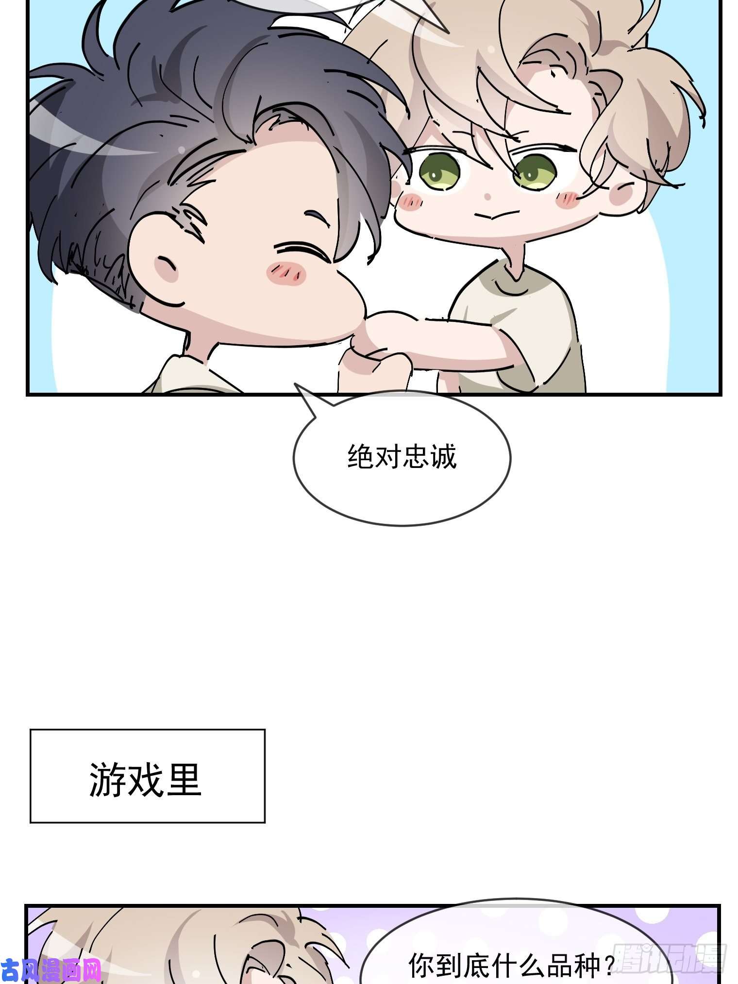逆袭之好孕人生第160话 抓叛徒