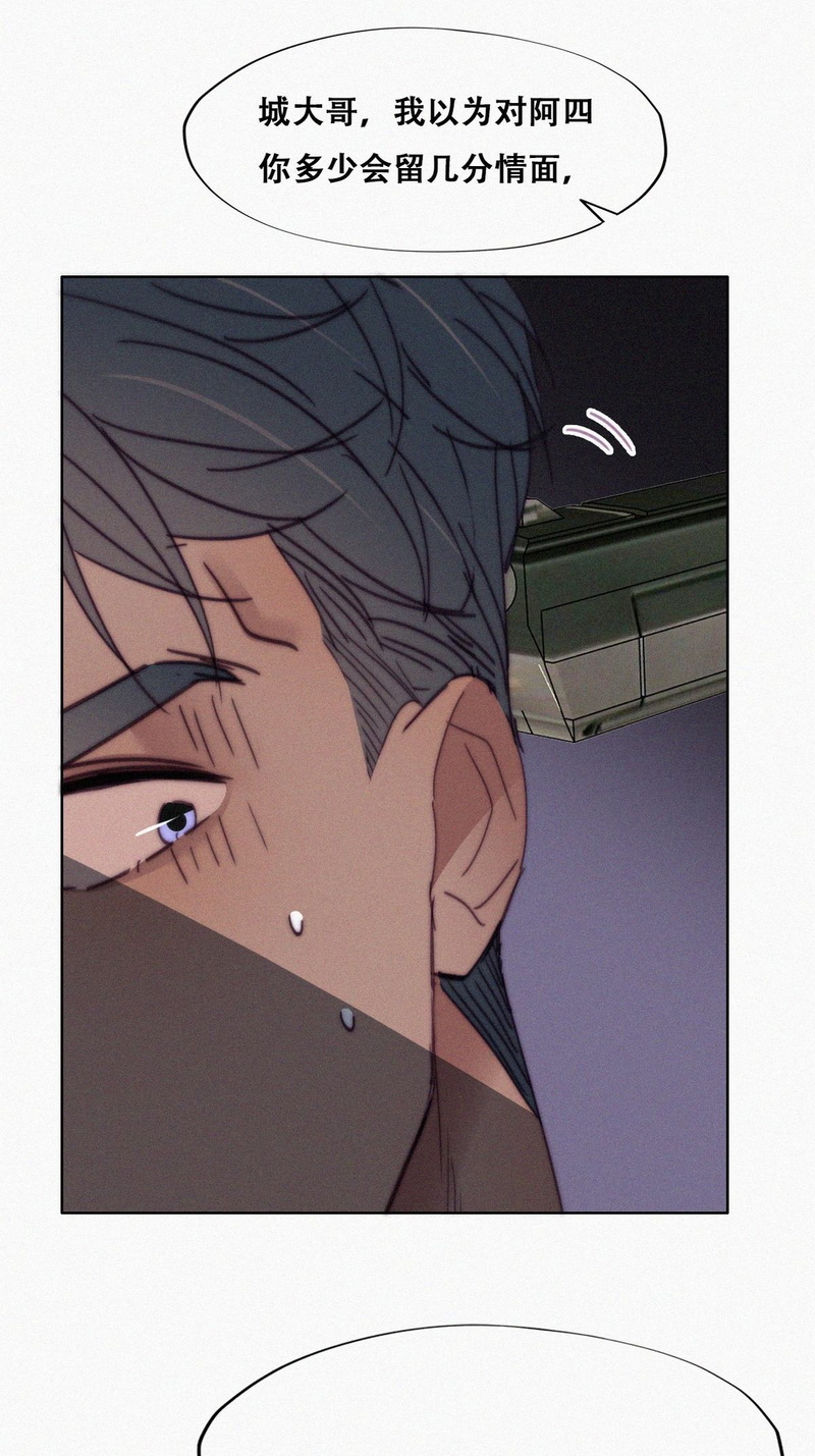 逆袭之好孕人生第170话叛徒岳照