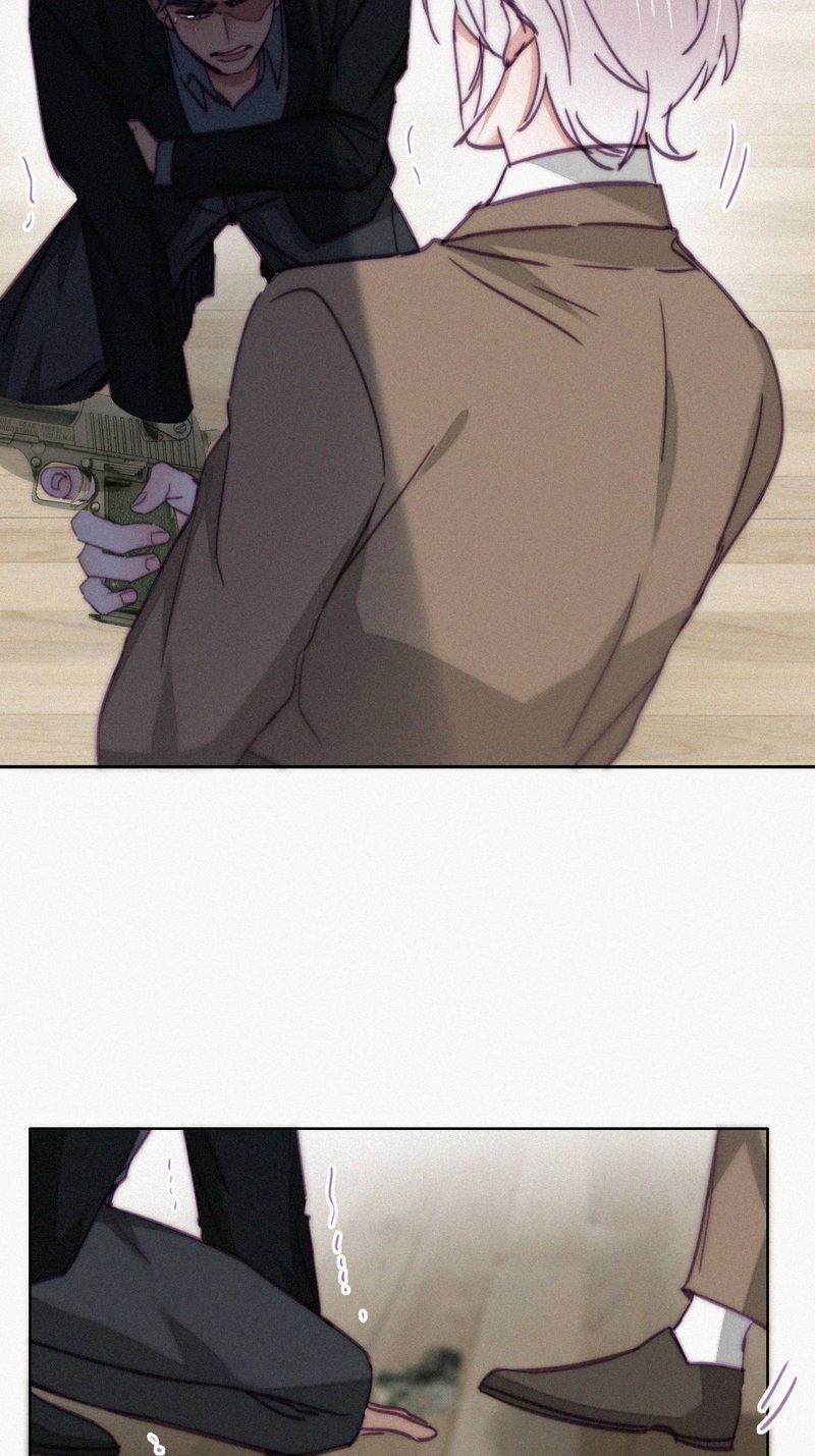 逆袭之好孕人生第171话 岳照的计划