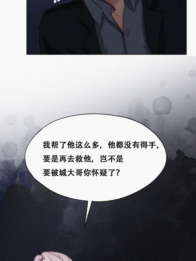 逆袭之好孕人生第171话 岳照的计划