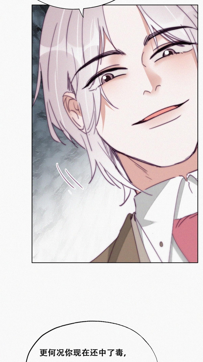 逆袭之好孕人生第171话 岳照的计划