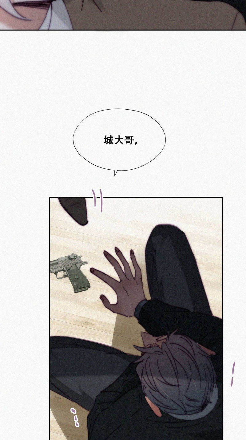 逆袭之好孕人生第171话 岳照的计划