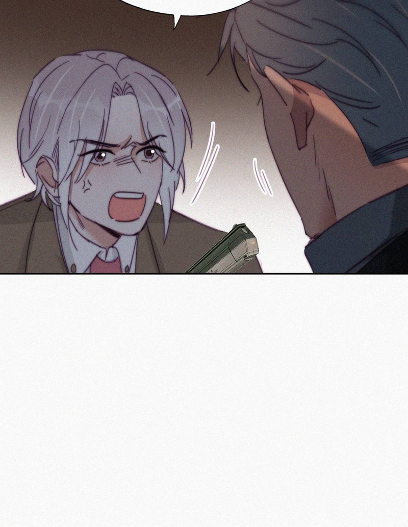 逆袭之好孕人生第171话 岳照的计划