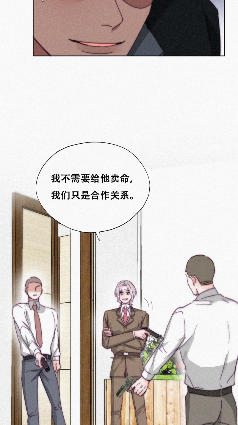 逆袭之好孕人生第171话 岳照的计划