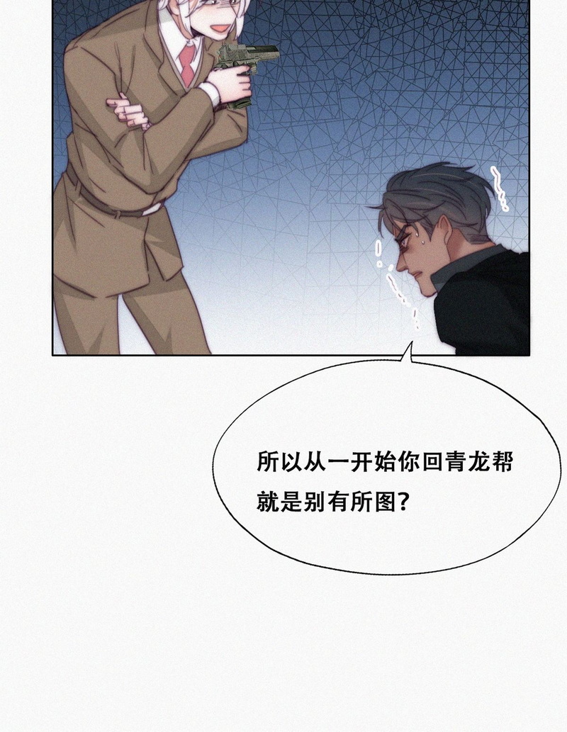 逆袭之好孕人生第171话 岳照的计划