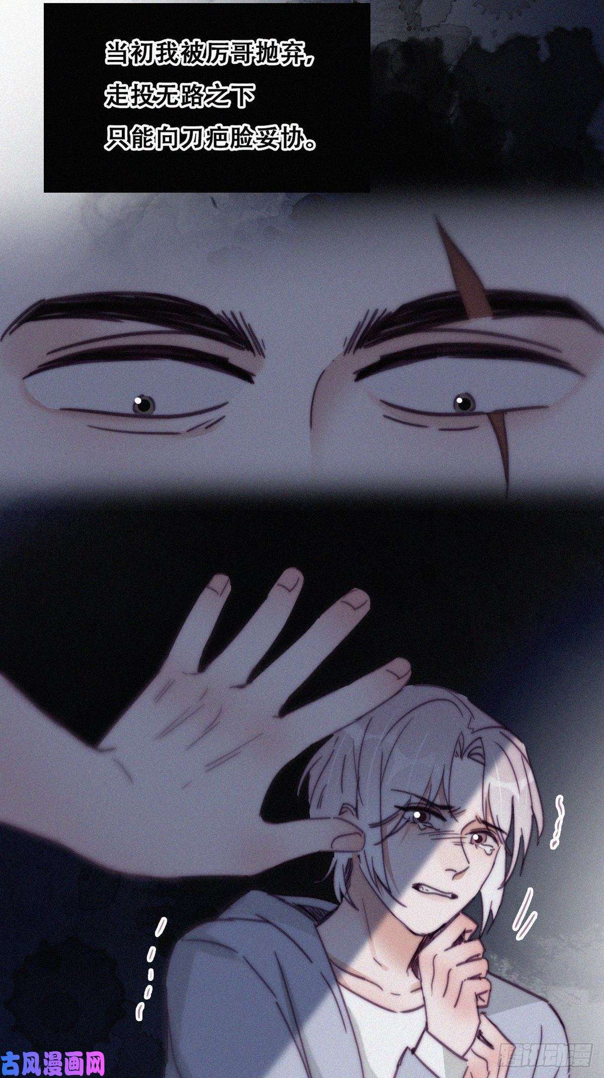 逆袭之好孕人生第168话 岳照的计划