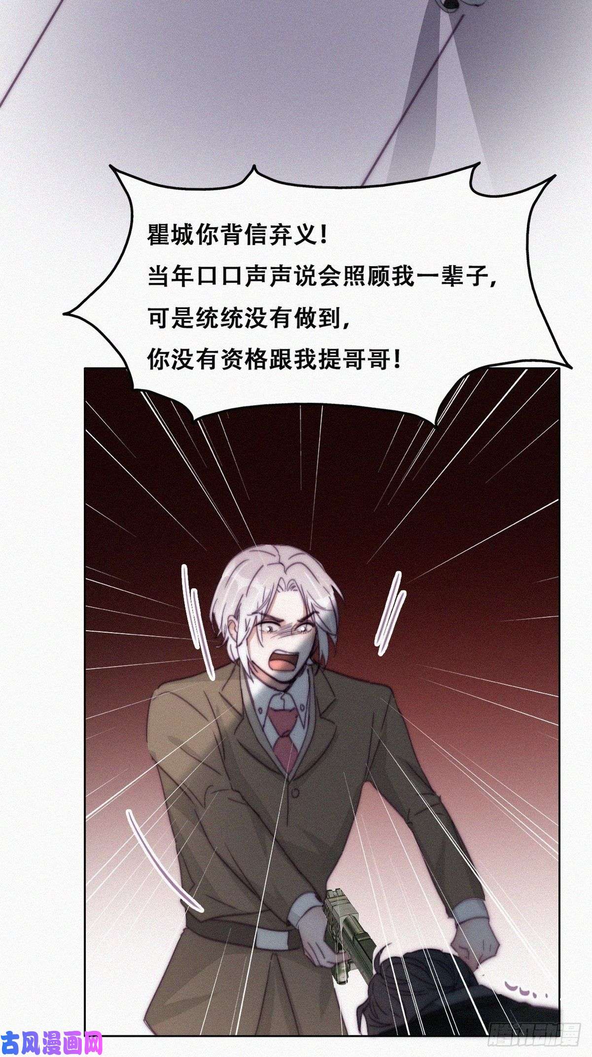逆袭之好孕人生第168话 岳照的计划