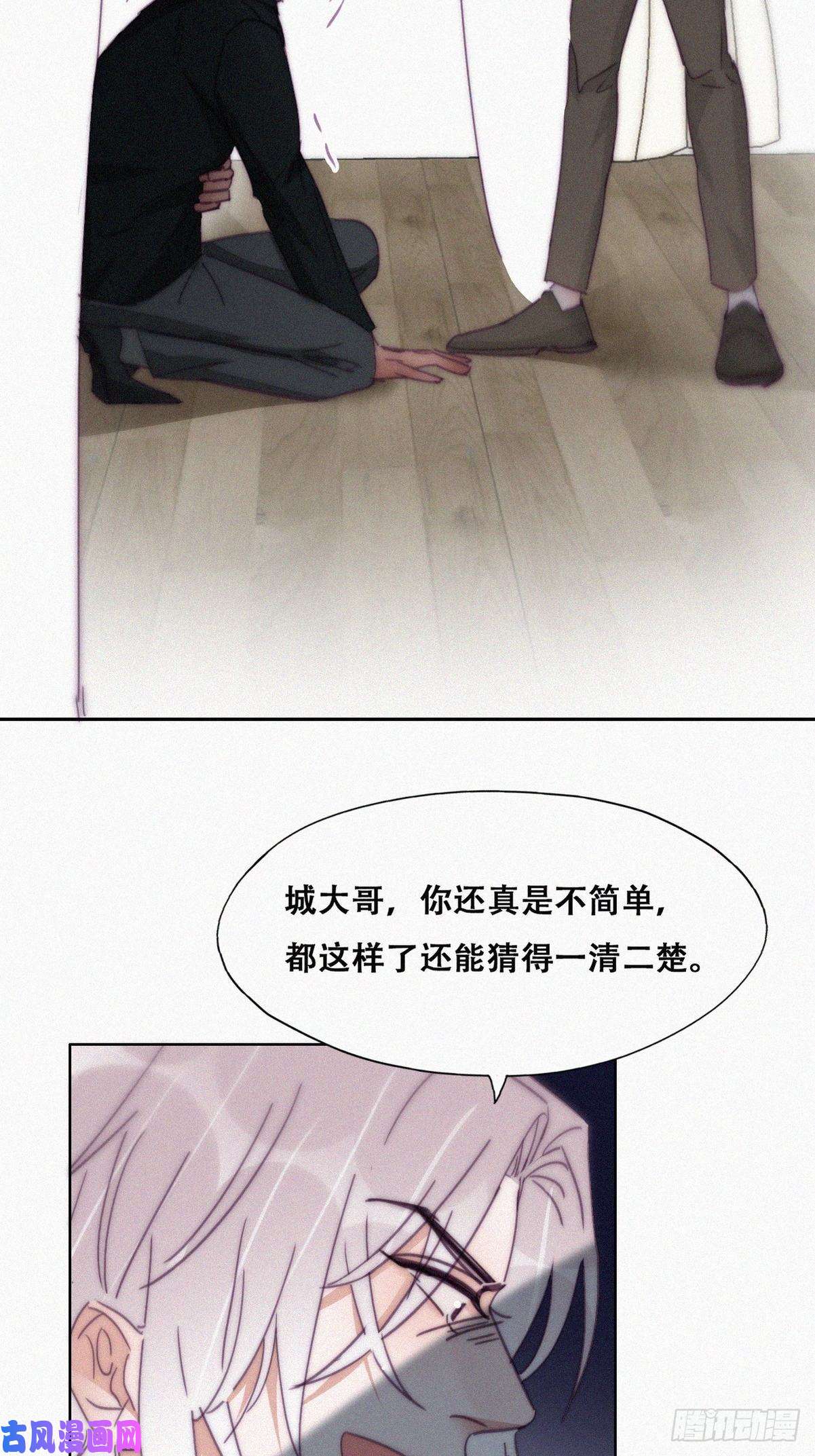 逆袭之好孕人生第168话 岳照的计划