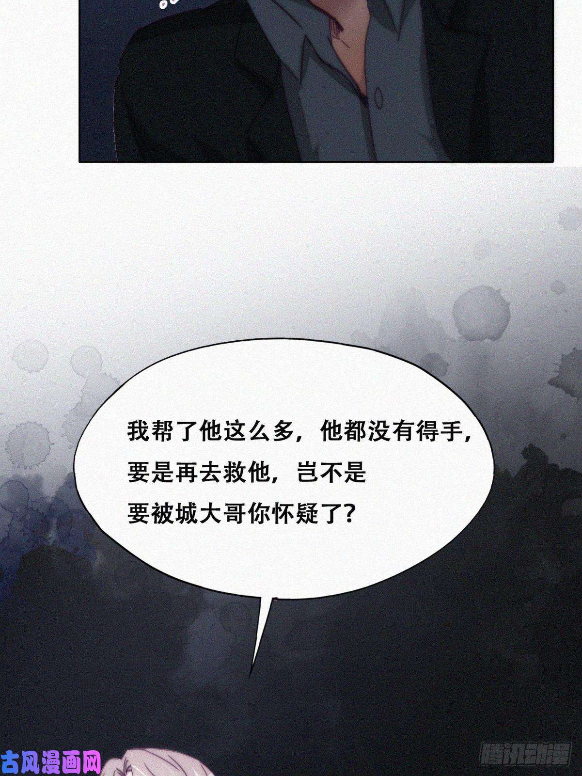 逆袭之好孕人生第168话 岳照的计划