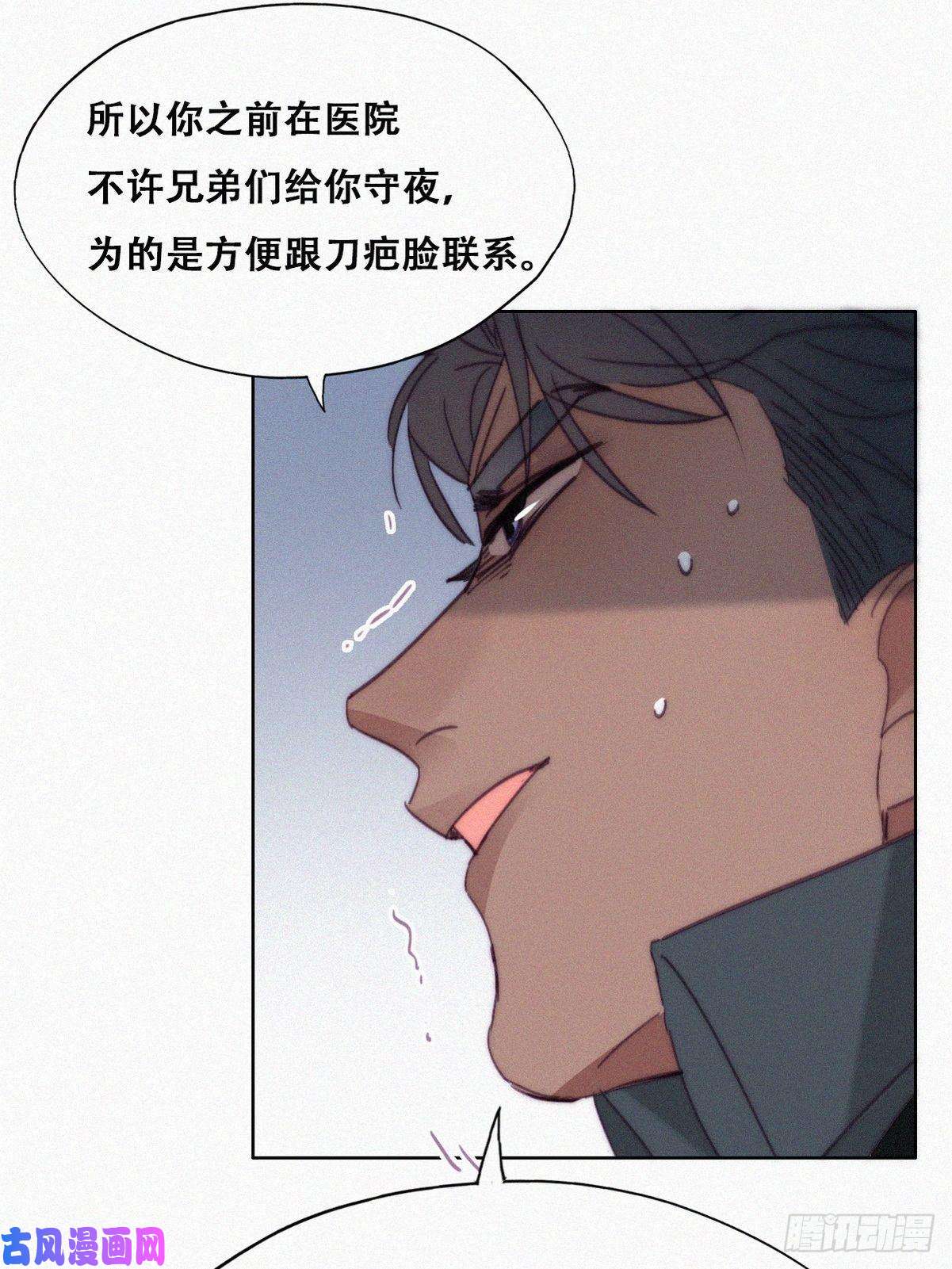 逆袭之好孕人生第168话 岳照的计划
