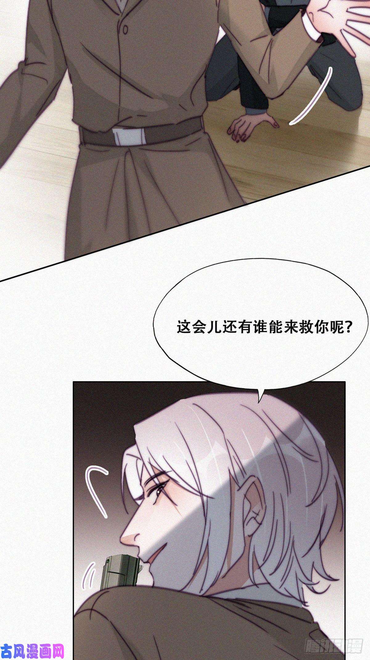 逆袭之好孕人生第168话 岳照的计划