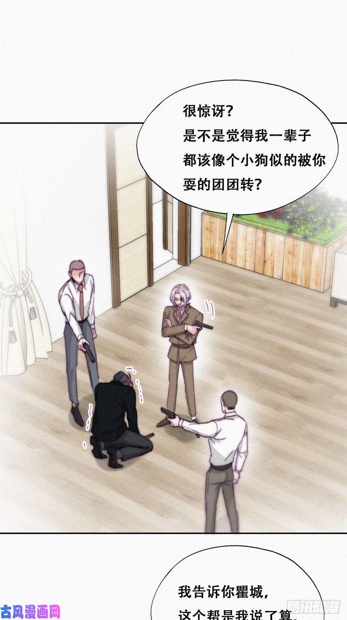 逆袭之好孕人生第168话 岳照的计划