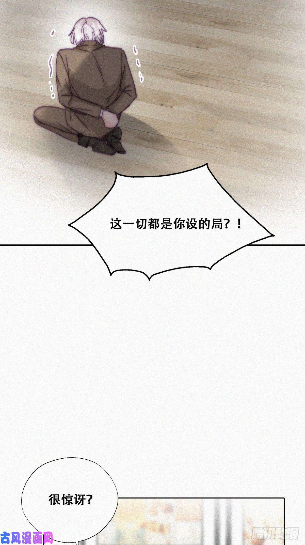 逆袭之好孕人生第169话 抓岳照