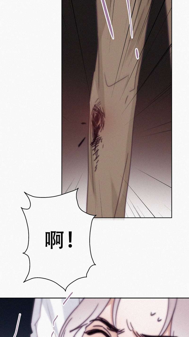 逆袭之好孕人生第174话 刀疤脸的目的