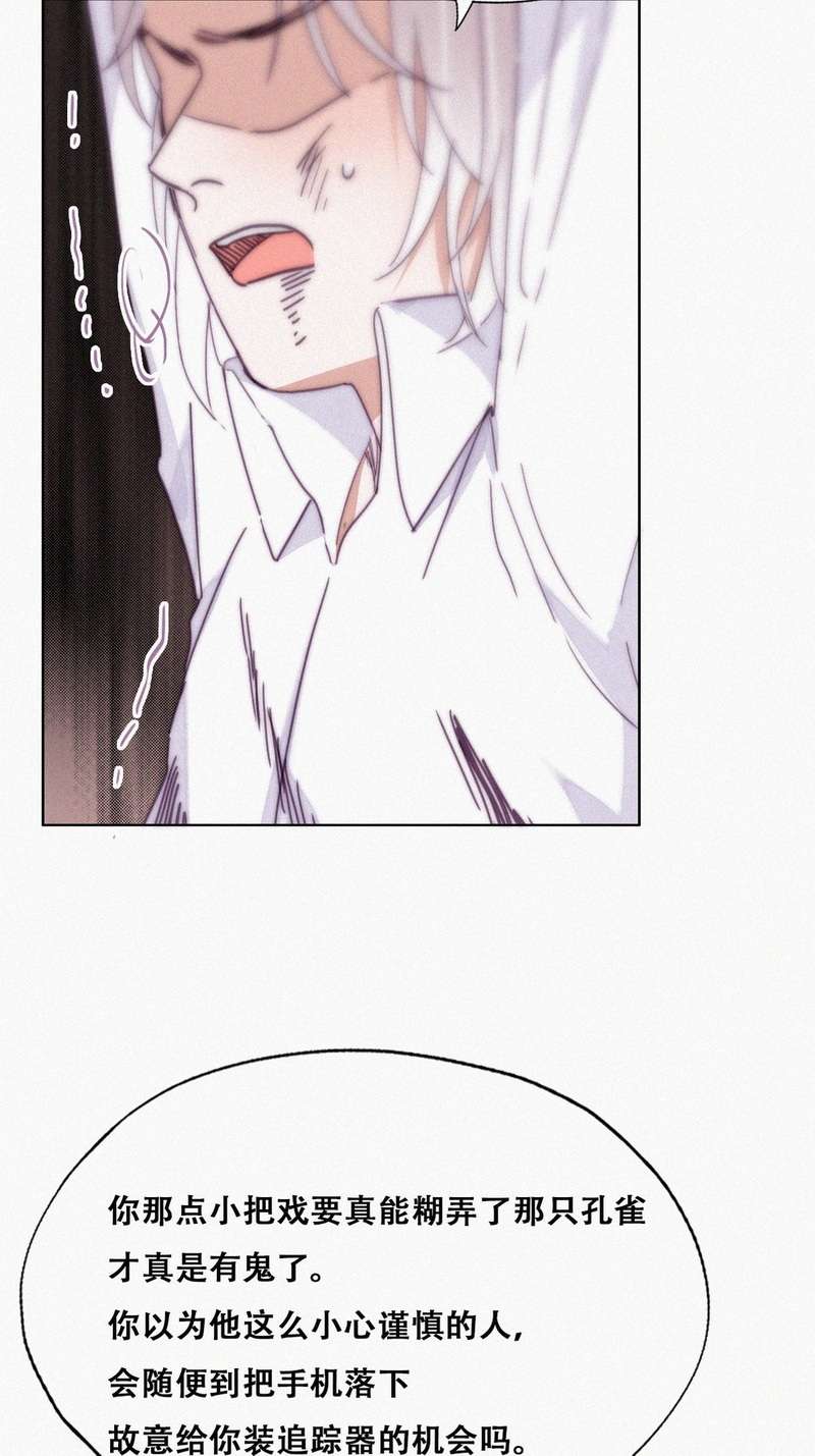 逆袭之好孕人生第174话 刀疤脸的目的