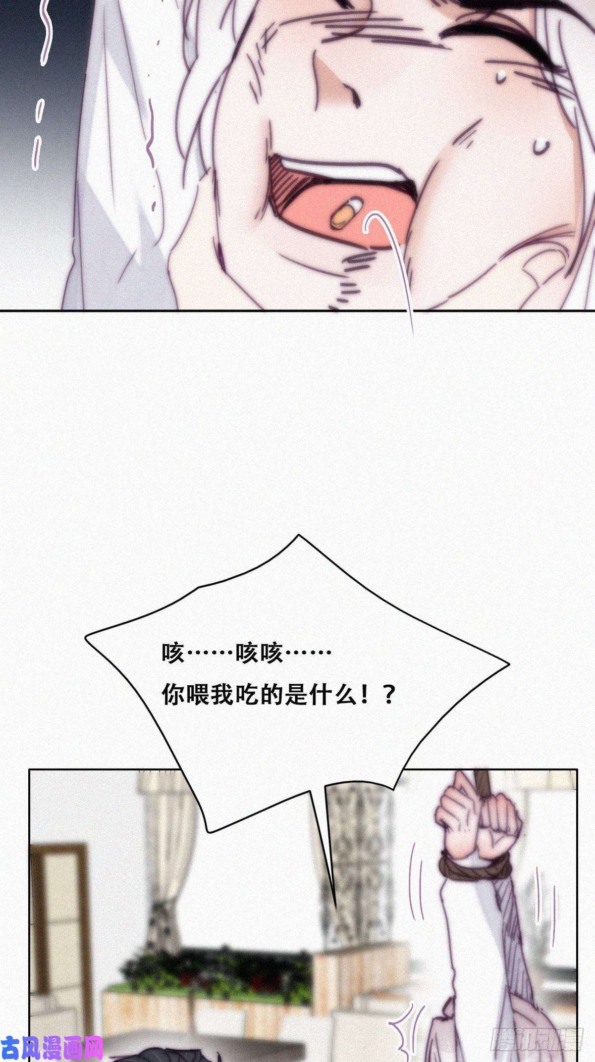 逆袭之好孕人生第171话 刀疤脸的目的