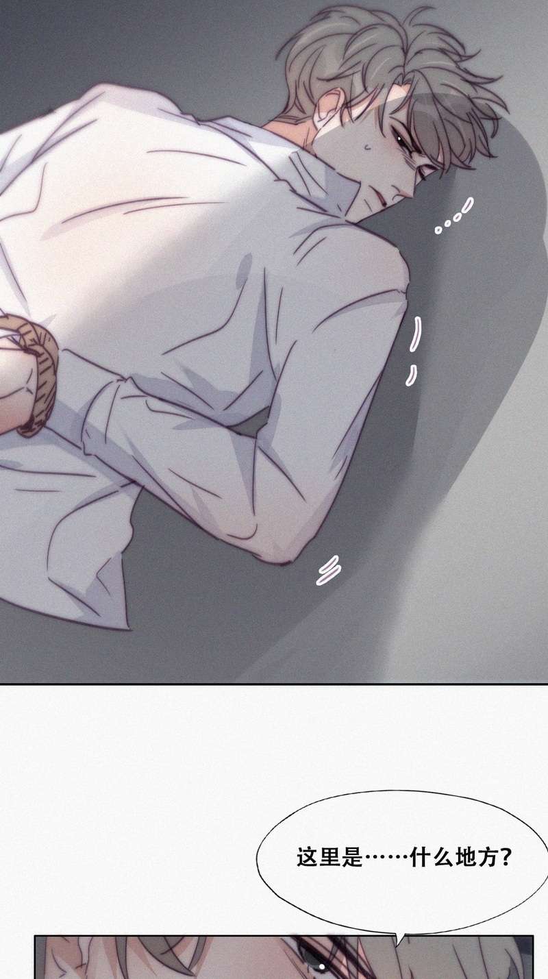 逆袭之好孕人生第话 辞年的计划
