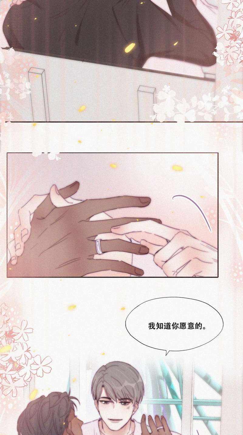 逆袭之好孕人生第184话 准备求婚