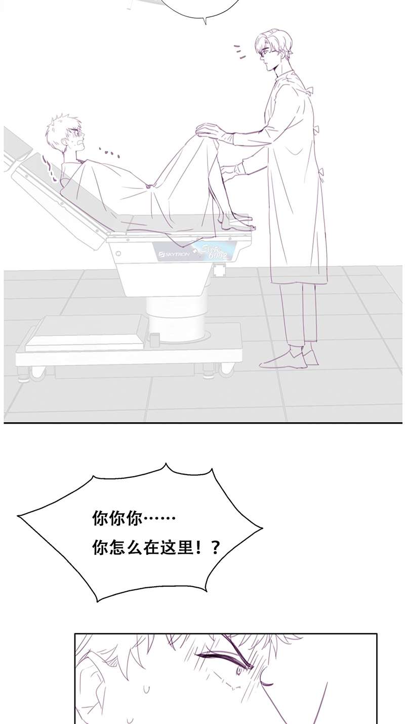 逆袭之好孕人生第189话 一夜惊喜