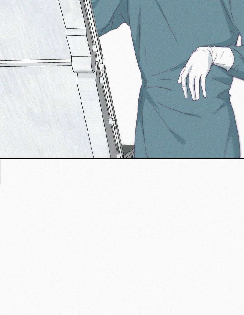逆袭之好孕人生第191话 婆婆大人