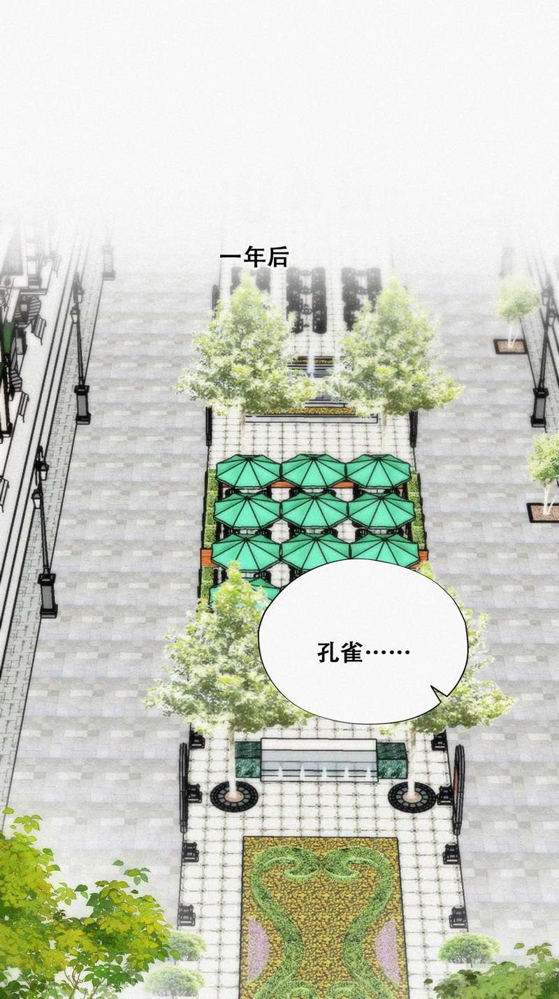 逆袭之好孕人生第197话 此气球非彼气球