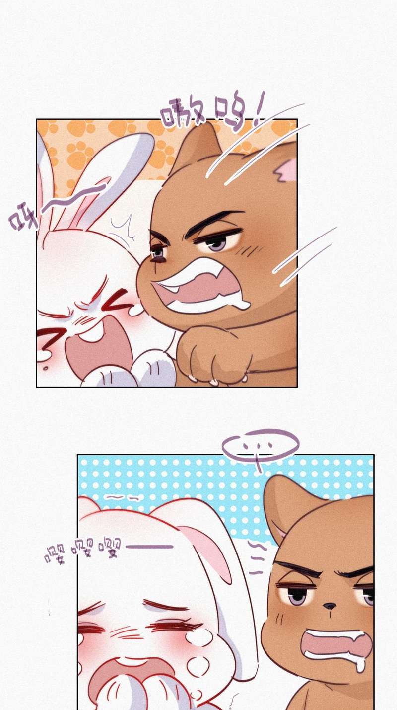 逆袭之好孕人生第217话 失策了