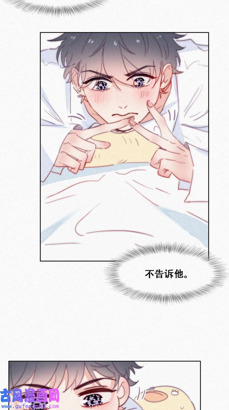 逆袭之好孕人生第219话 窝窝要告白