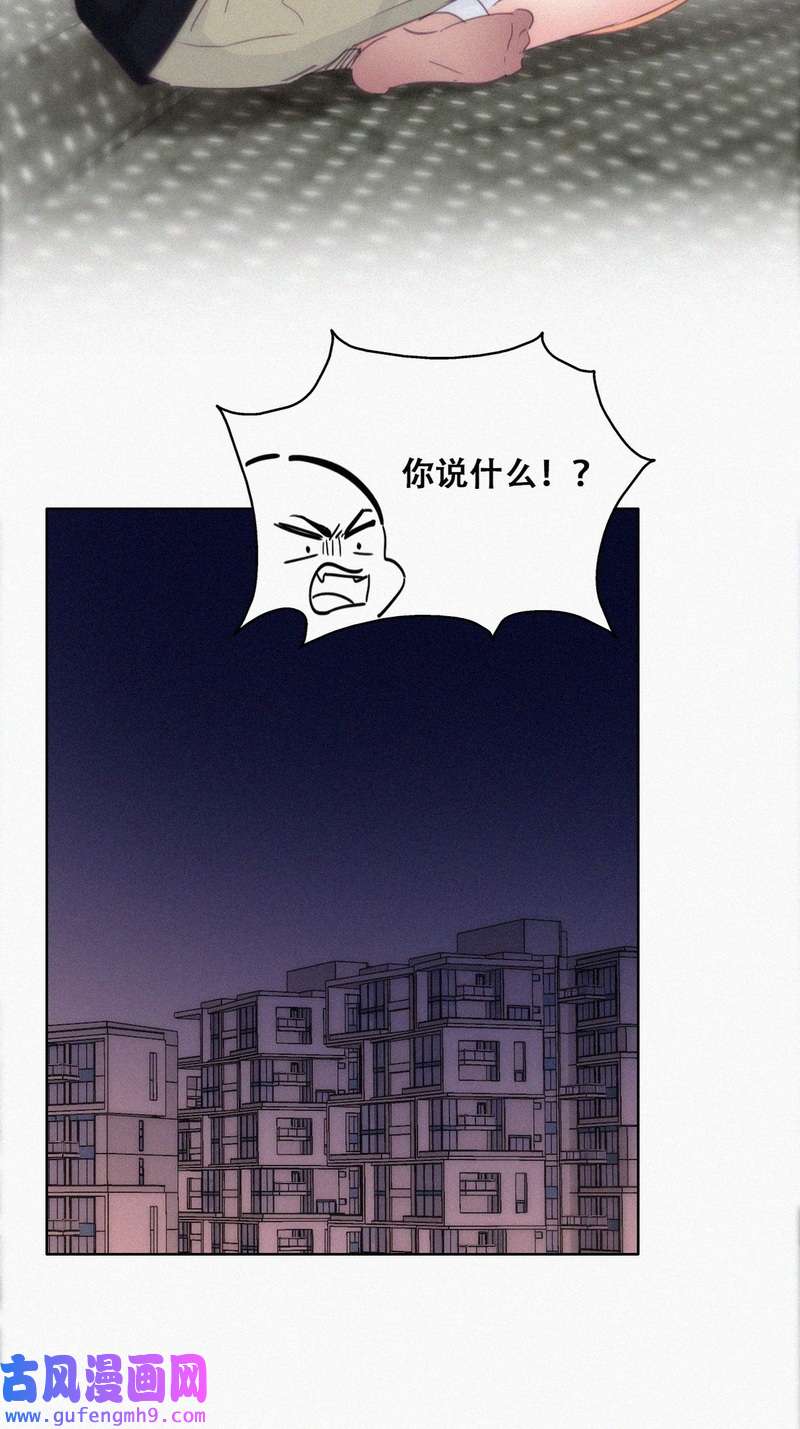 逆袭之好孕人生第220话 豆丁炸毛了