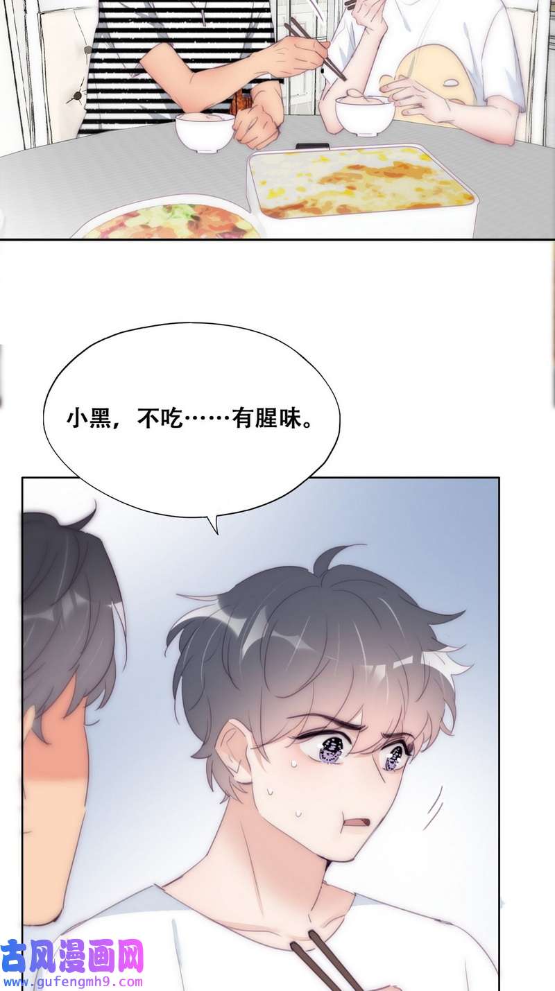 逆袭之好孕人生第224话 主权宣誓