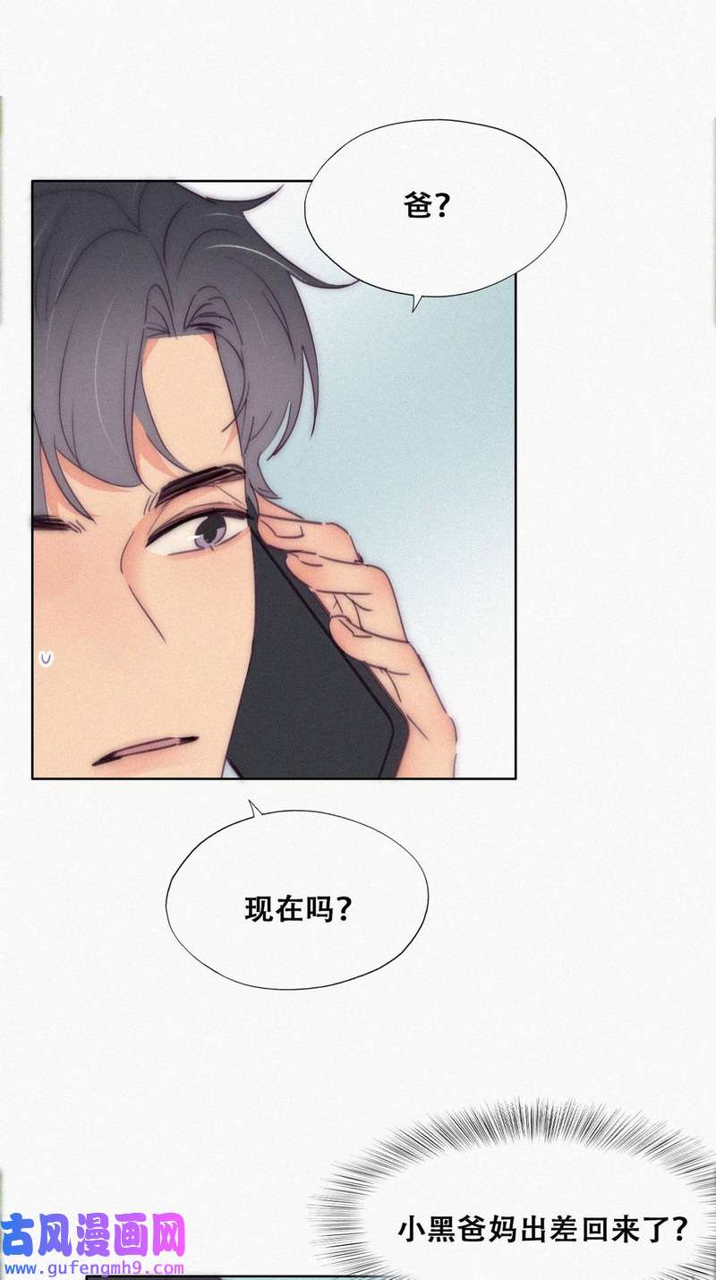 逆袭之好孕人生第225话 一吻定情