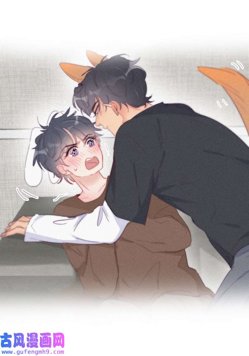 逆袭之好孕人生第226话 第2季预热篇
