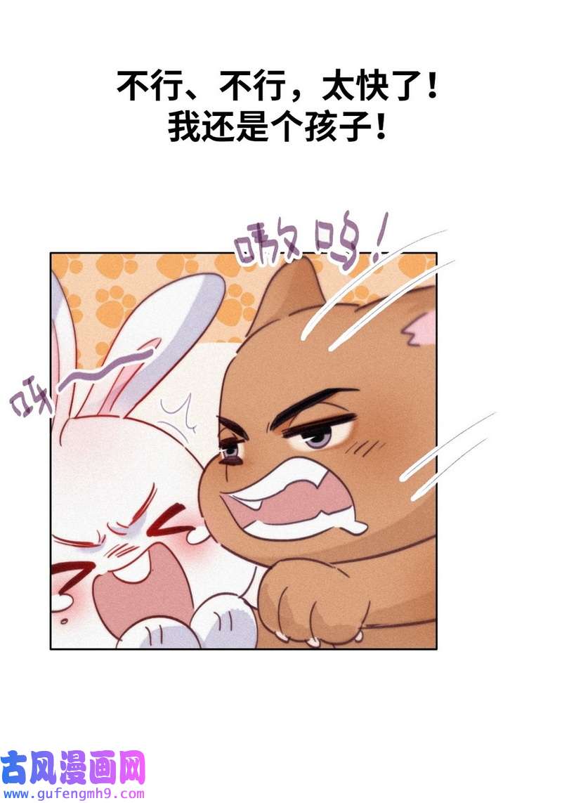 逆袭之好孕人生第226话 第2季预热篇