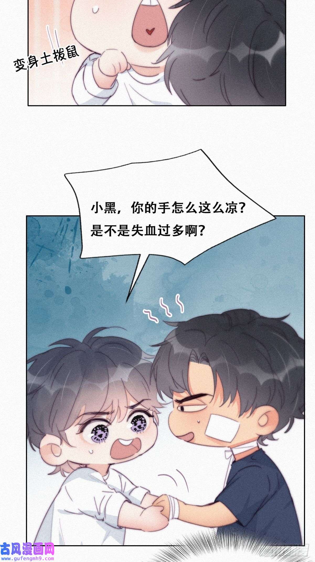 逆袭之好孕人生第211话 小呆瓜窝窝