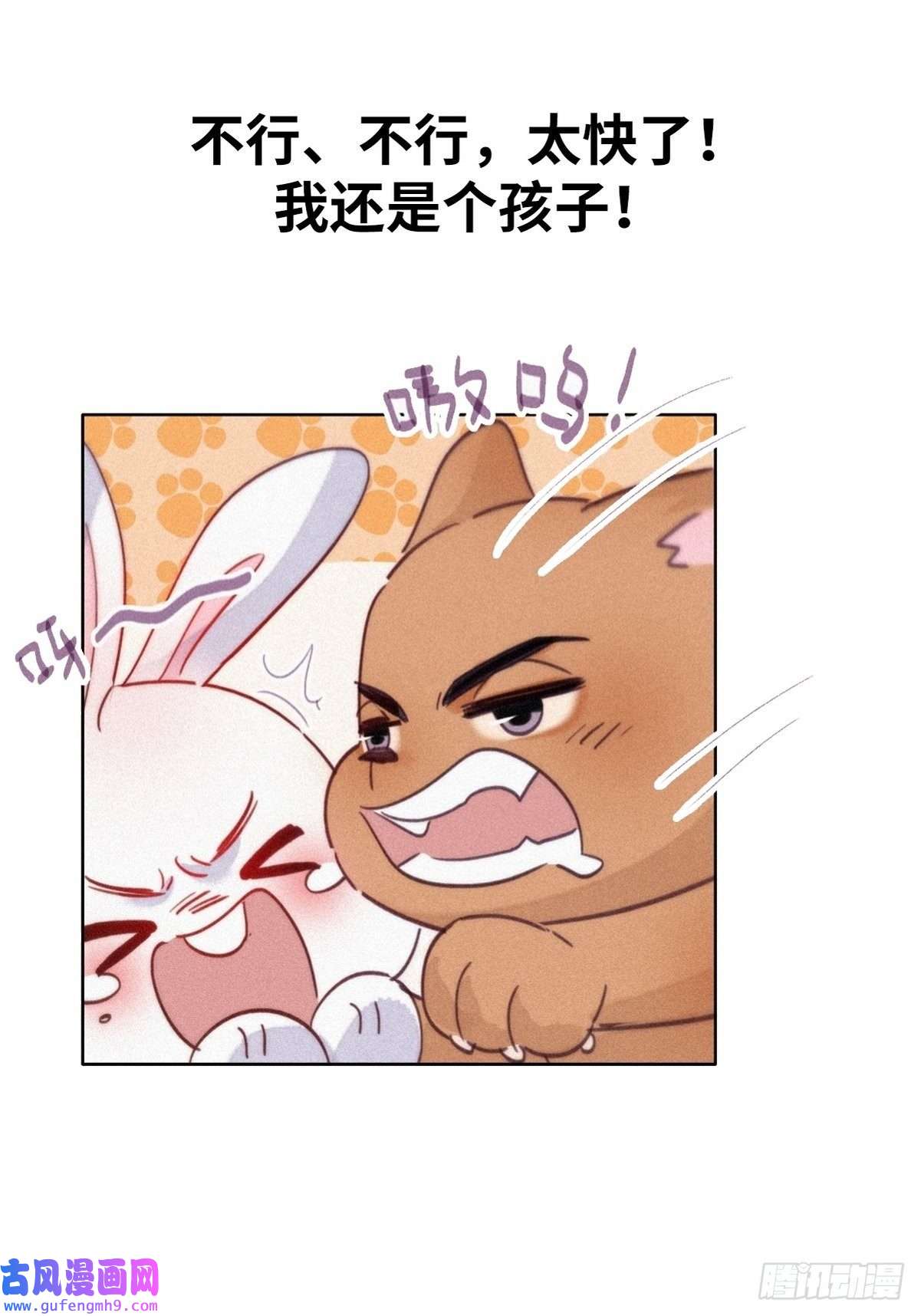 逆袭之好孕人生逆袭第二季 预热篇