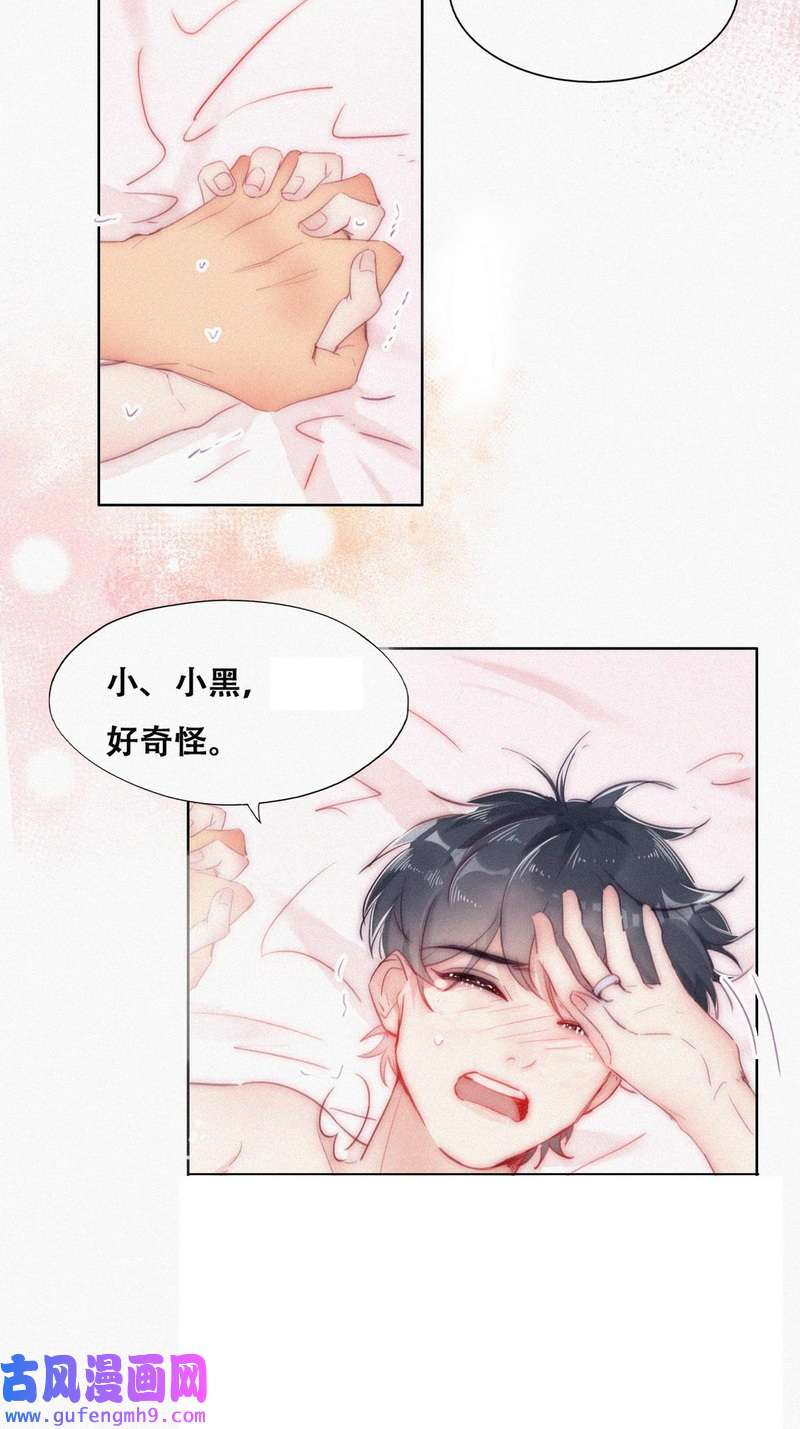 逆袭之好孕人生第227话 恋爱第一天