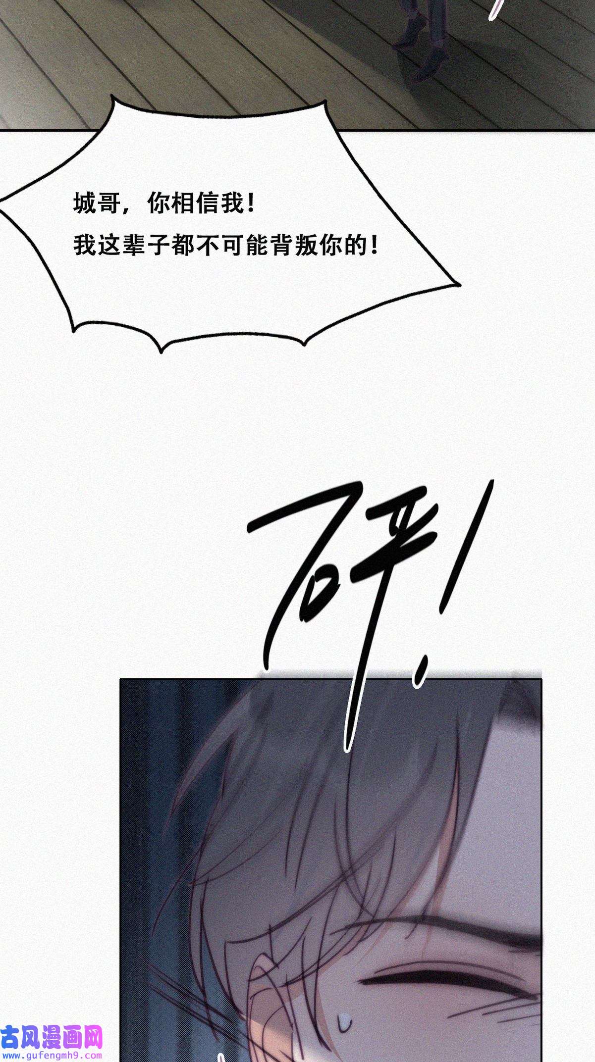 逆袭之好孕人生169 阿四死了