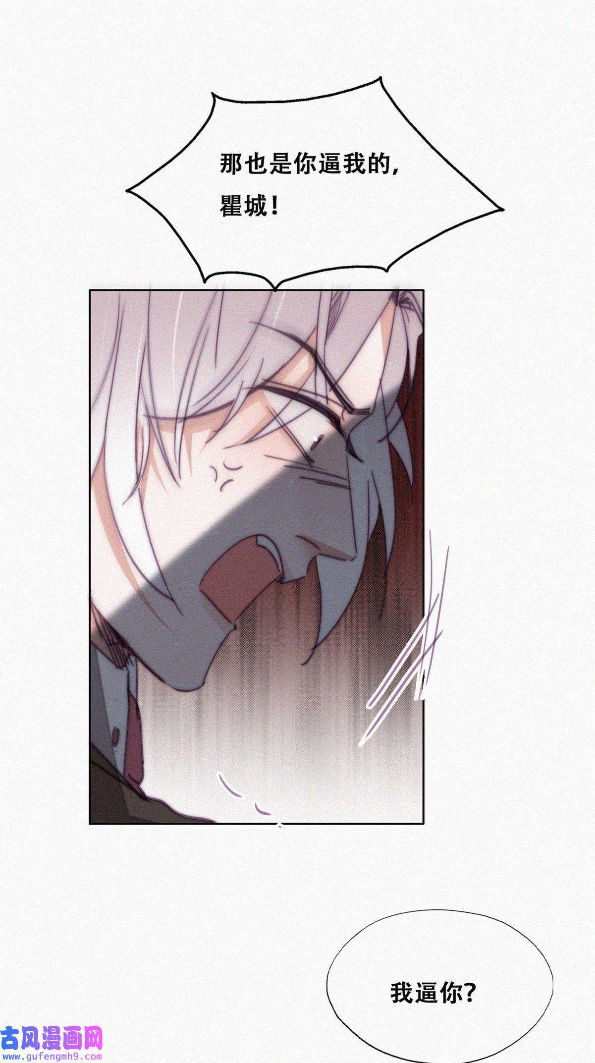 逆袭之好孕人生170 叛徒岳照