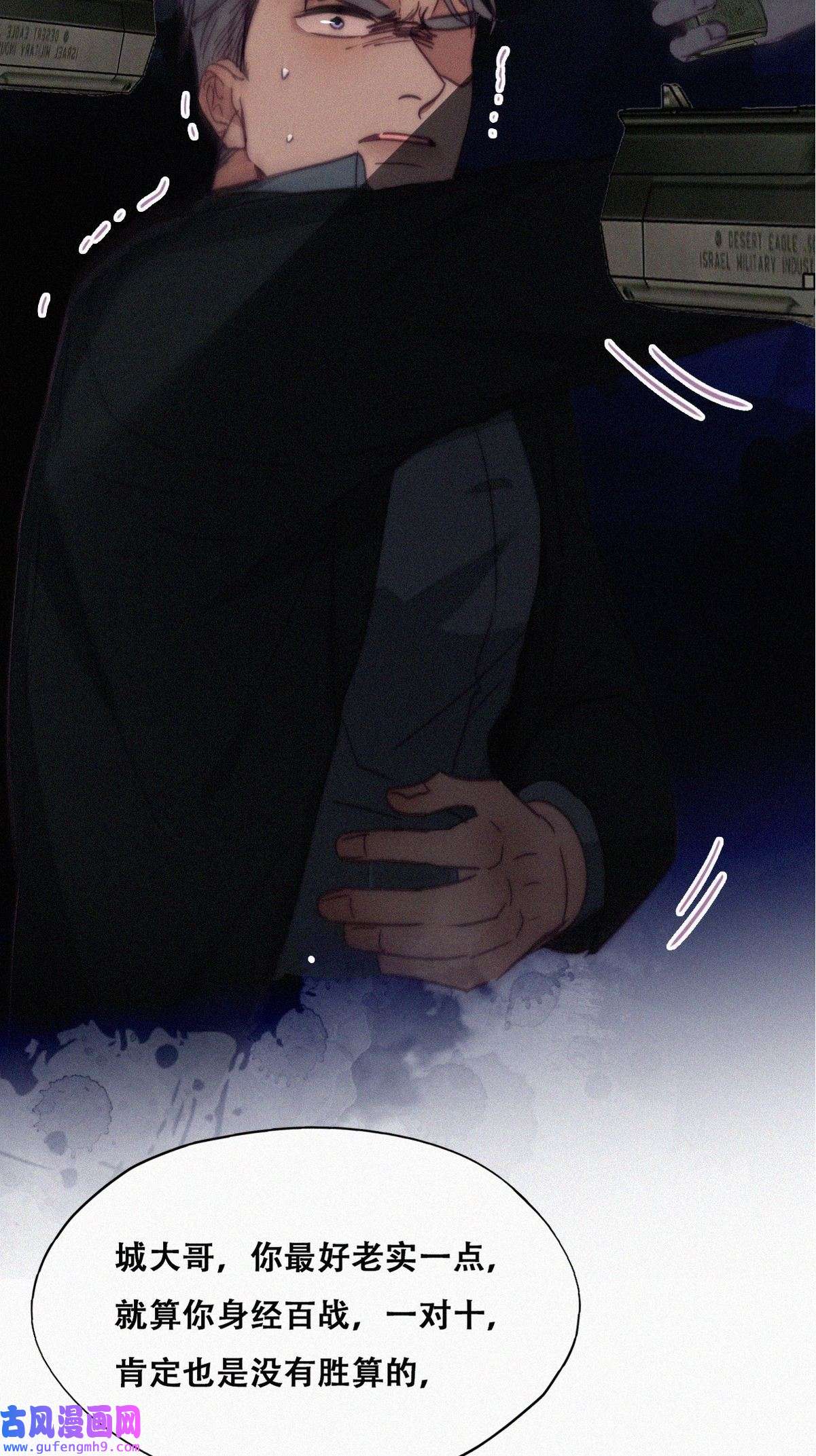 逆袭之好孕人生171 岳照的计划