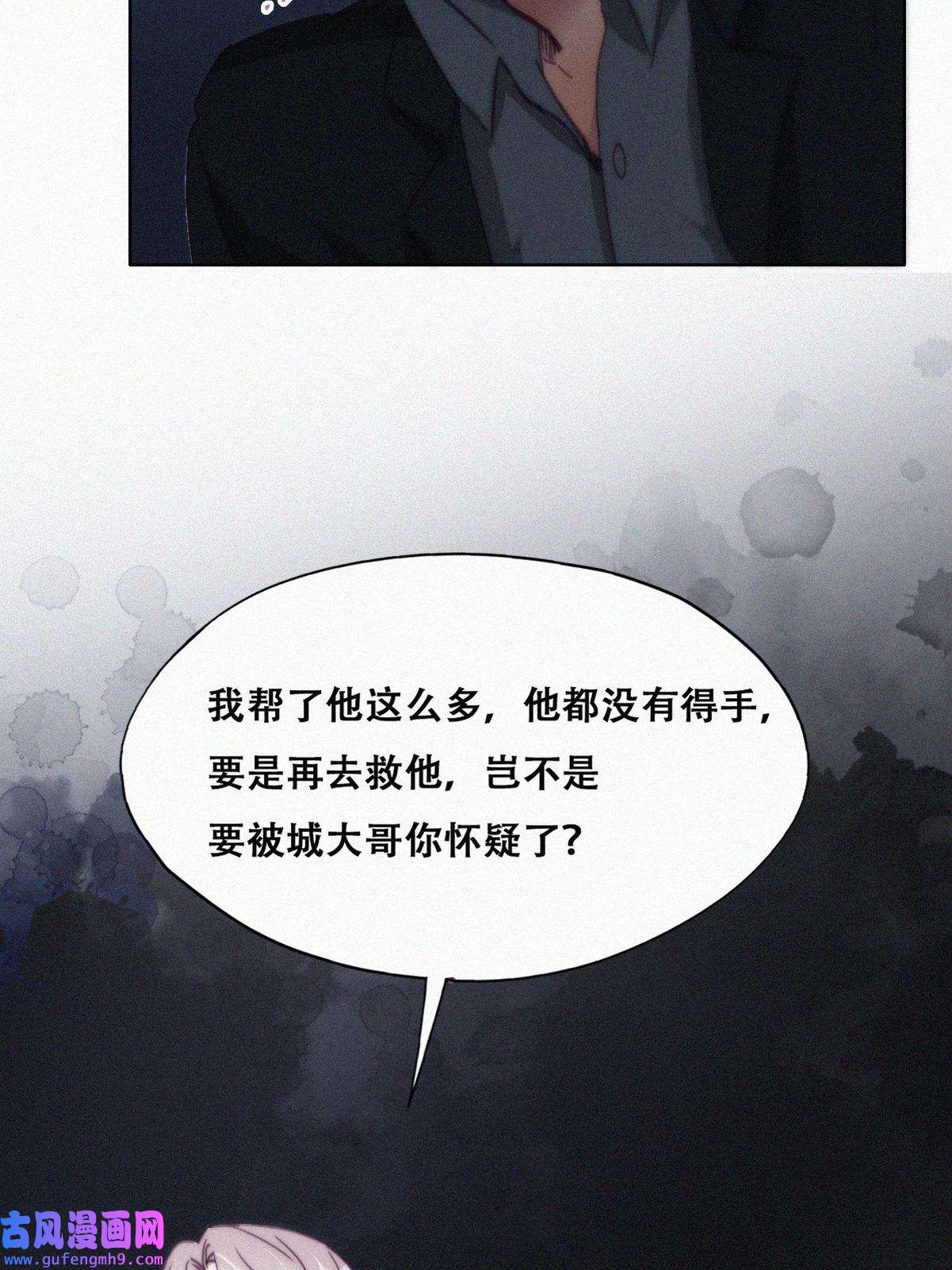 逆袭之好孕人生171 岳照的计划