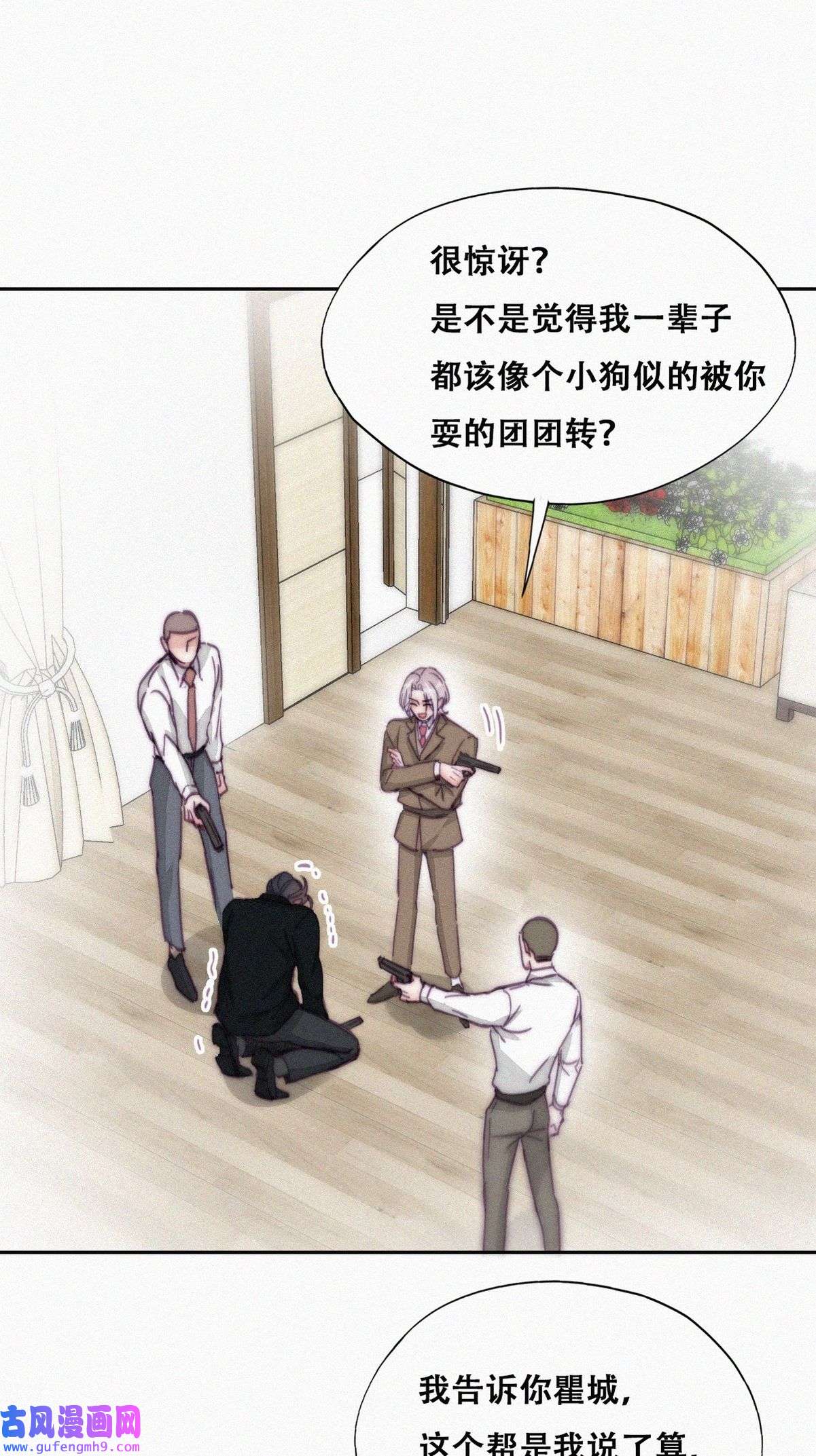 逆袭之好孕人生171 岳照的计划